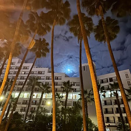 Vina Del Mar Apartment Playa Fanabe Luaran gambar