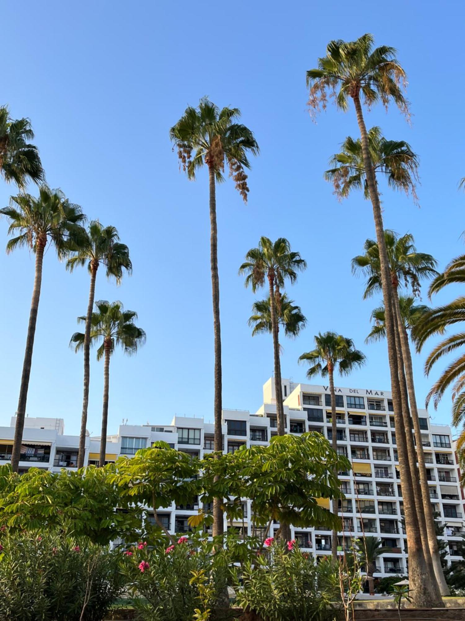 Vina Del Mar Apartment Playa Fanabe Luaran gambar